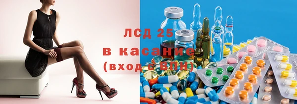 твердый Арсеньев