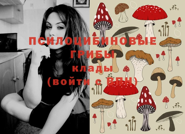 ешки Балахна