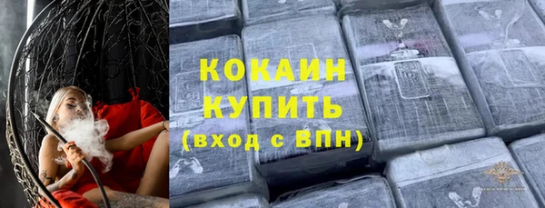 твердый Арсеньев