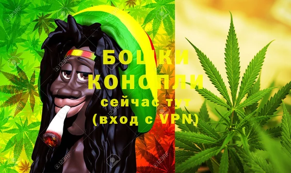 MESCALINE Аркадак