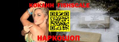 индика Кингисепп