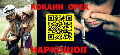 индика Кингисепп