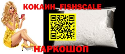 индика Кингисепп