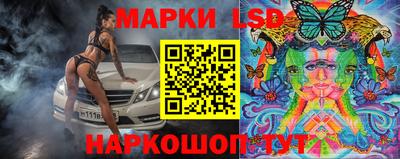 индика Кингисепп