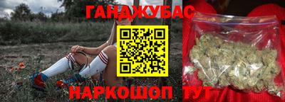 индика Кингисепп