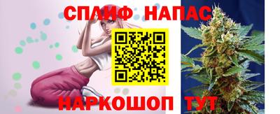 индика Кингисепп