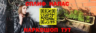 индика Кингисепп