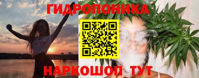 индика Кингисепп