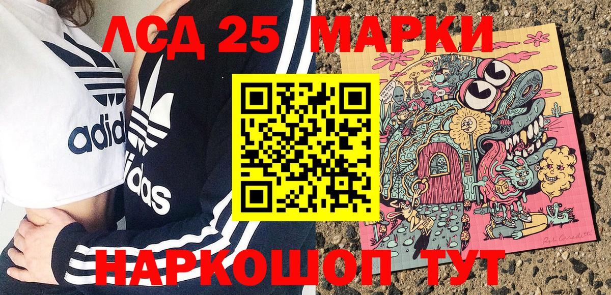 как найти закладки  Наркотические марки 1,8мг  Вход с VPN  Наркотические марки  Наркотические марки 1,8мг  Волхов 