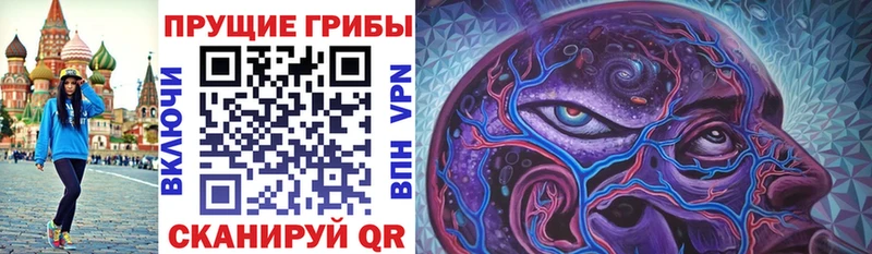 omg зеркало  Волхов  Псилоцибиновые грибы Psilocybe 