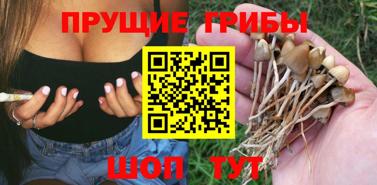 Галлюциногенные грибы MAGIC MUSHROOMS  Вход с VPN  Волхов  Псилоцибиновые грибы ЛСД 