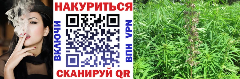Шишки марихуана конопля  KRAKEN маркетплейс  Волхов 